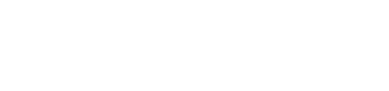 A WordPress Site